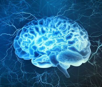 Lose Weight & Build Brain Power – Mdslim.com