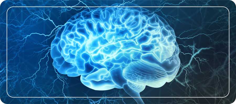 Lose Weight &; Build Brain Power – Mdslim.com