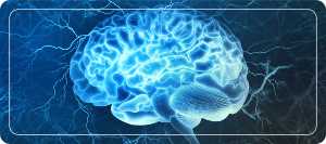 Lose Weight &; Build Brain Power – Mdslim.com