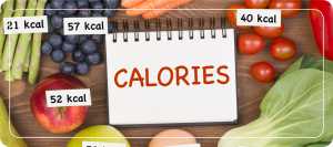 Low Calorie & Fast Food Menu